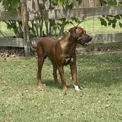 Photo Aug 24 2024, 12 10 08 PM