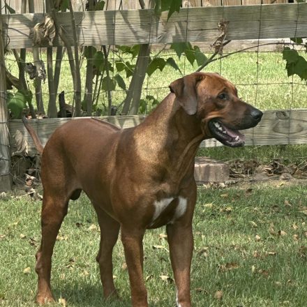 Photo Aug 24 2024, 12 10 09 PM