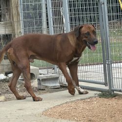 Photo Aug 24 2024, 12 12 31 PM