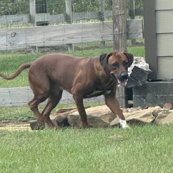 Photo Aug 24 2024, 12 13 56 PM