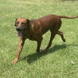 Photo Aug 24 2024, 12 19 43 PM