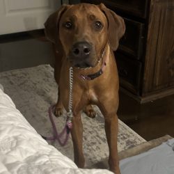 Photo Aug 31 2025, 12 19 37 PM