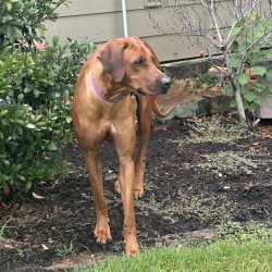 Photo Aug 31 2025, 3 55 52 PM