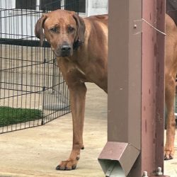 Photo Aug 31 2025, 3 56 58 PM