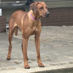 Photo Aug 31 2025, 3 58 40 PM