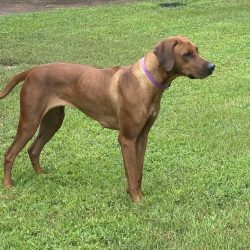 Photo Aug 31 2025, 4 05 35 PM