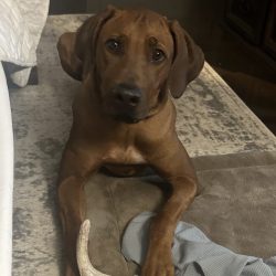 Photo Aug 31 2025, 9 10 03 PM