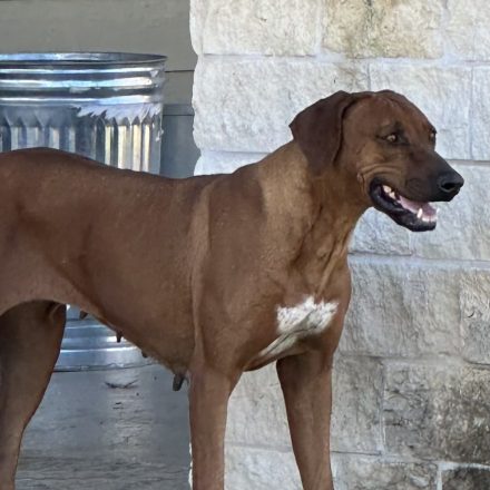 Photo Feb 04 2024, 1 00 35 PM