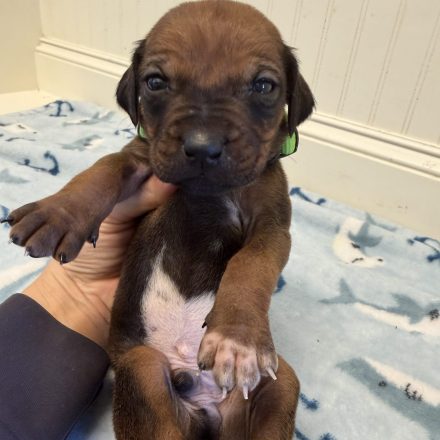 Photo Feb 16 2026, 1 32 43 PM