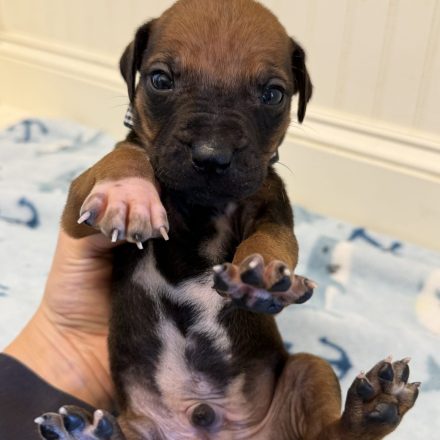 Photo Feb 16 2026, 1 33 25 PM