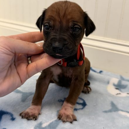 Photo Feb 16 2026, 1 33 36 PM