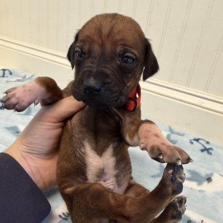 Photo Feb 16 2026, 1 34 05 PM