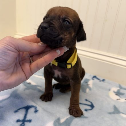 Photo Feb 16 2026, 1 34 24 PM