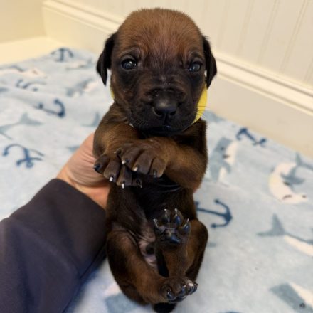 Photo Feb 16 2026, 1 34 37 PM