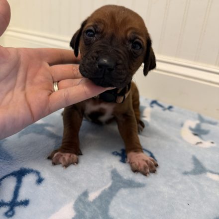 Photo Feb 16 2026, 1 34 53 PM