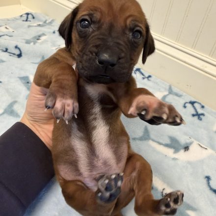 Photo Feb 16 2026, 1 35 15 PM