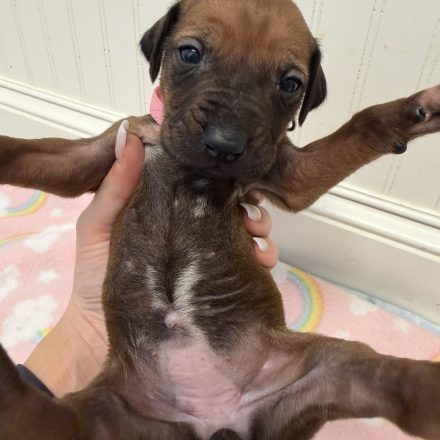 Photo Feb 16 2026, 1 37 56 PM