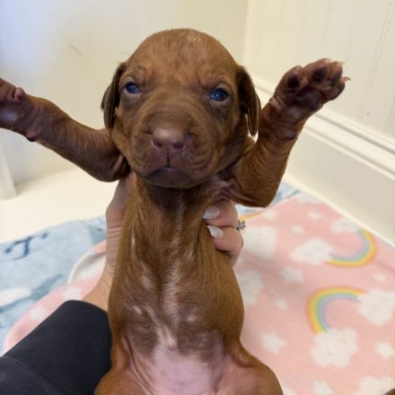 Photo Feb 16 2026, 1 57 53 PM