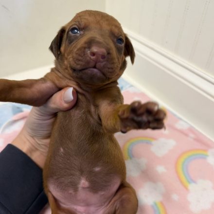 Photo Feb 16 2026, 1 58 33 PM