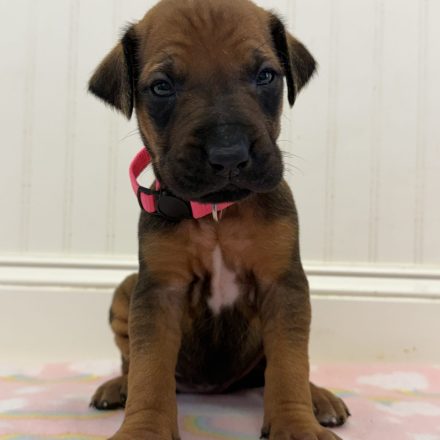 Photo Feb 16 2026, 11 32 39 AM