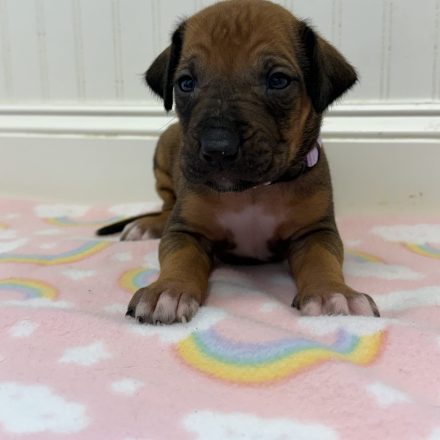 Photo Feb 16 2026, 11 36 16 AM