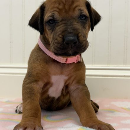 Photo Feb 16 2026, 11 38 44 AM