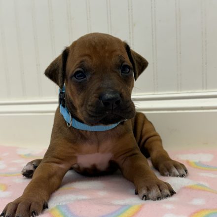 Photo Feb 16 2026, 11 41 41 AM