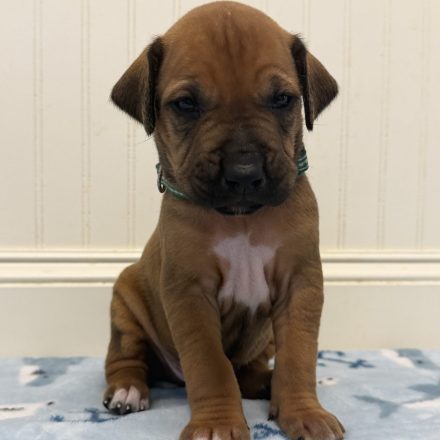 Photo Feb 16 2026, 12 23 11 PM