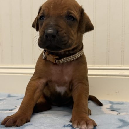 Photo Feb 16 2026, 12 24 31 PM