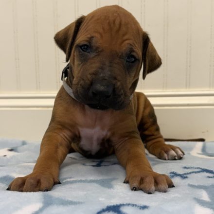 Photo Feb 16 2026, 12 28 19 PM