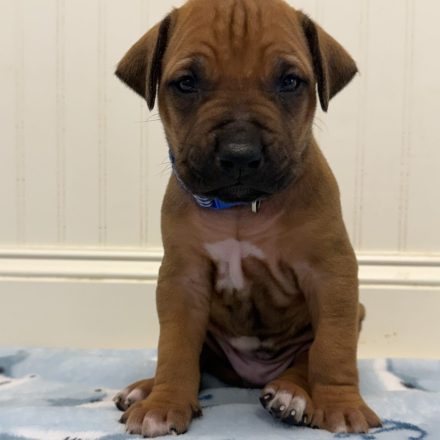 Photo Feb 16 2026, 12 32 46 PM