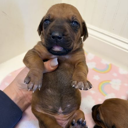 Photo Feb 16 2026, 2 05 37 PM