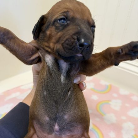 Photo Feb 16 2026, 2 05 56 PM