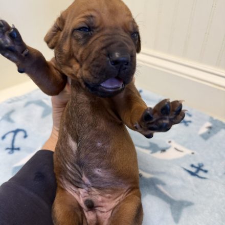 Photo Feb 16 2026, 2 19 16 PM