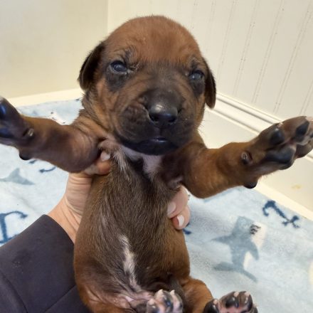 Photo Feb 16 2026, 2 21 28 PM