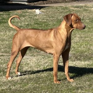 Photo Jan 17 2024, 10 22 25 AM