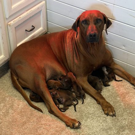 Photo Jan 30 2026, 2 29 48 PM